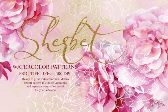 Download Sherbet | Watercolor Roses Patterns - Premium Bundle