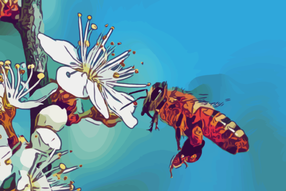 Download Bee in Apple Flowers - Premium Bundle